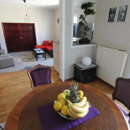 Njegoseva Presidential Vracar Apartment *