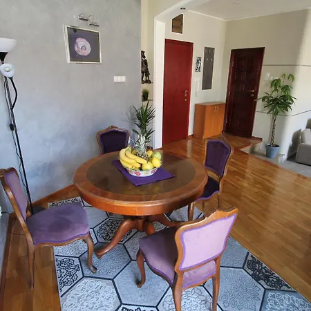 Apartment Njegoseva Presidential Vracar